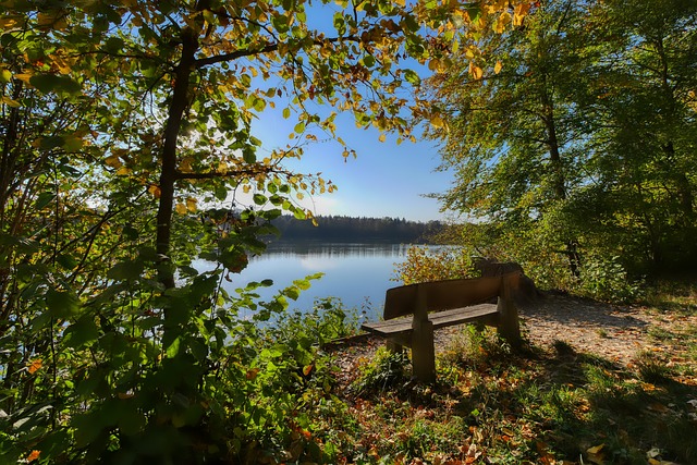 坚韧表现也 坚韧表现也