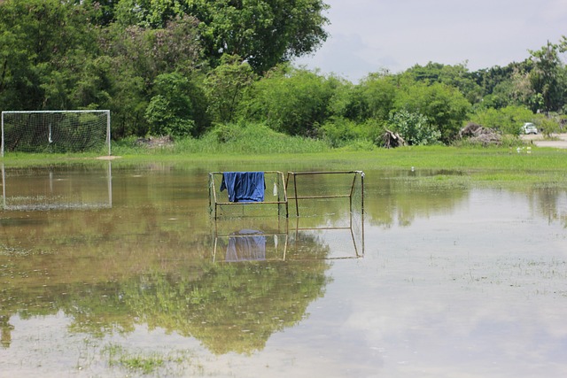 非真實賽事 非真實賽事