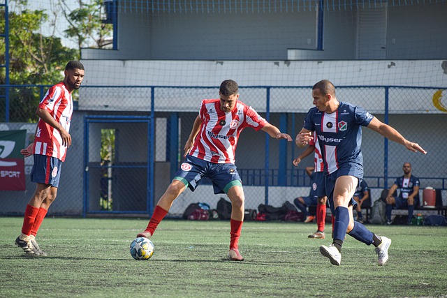 球迷的欢呼 球迷的欢呼