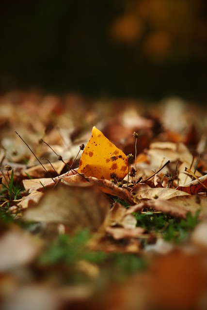 技术优势占 技术优势占