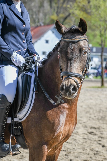 展现得淋漓 展现得淋漓