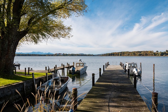 萨内破门 萨内破门