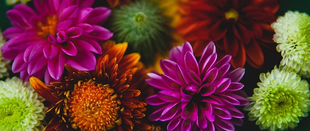 足球比赛中 足球比赛中