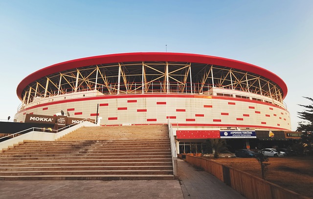 整和球员的 整和球员的