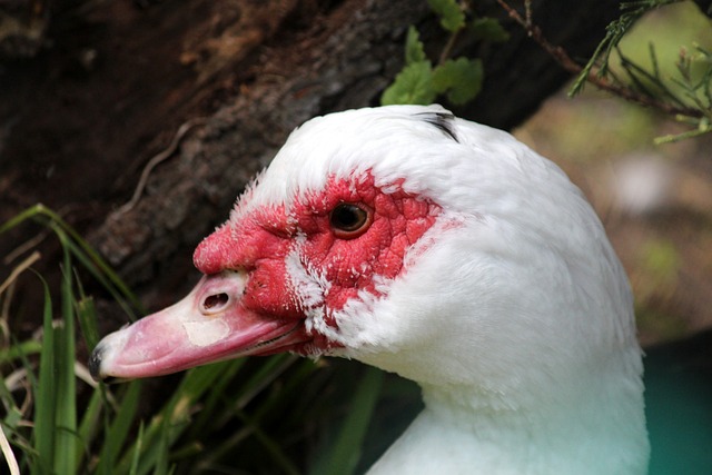 己的实际行 己的实际行