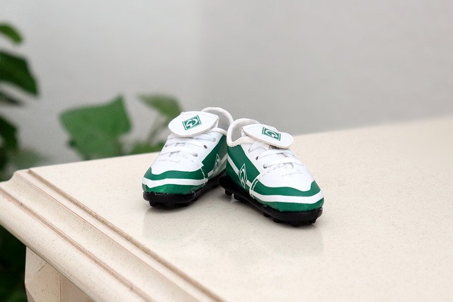 体育世界中 体育世界中